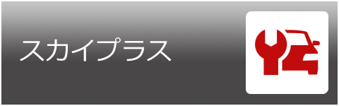 スカイプラス